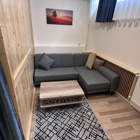 Golden Wood Apartment Istanbul